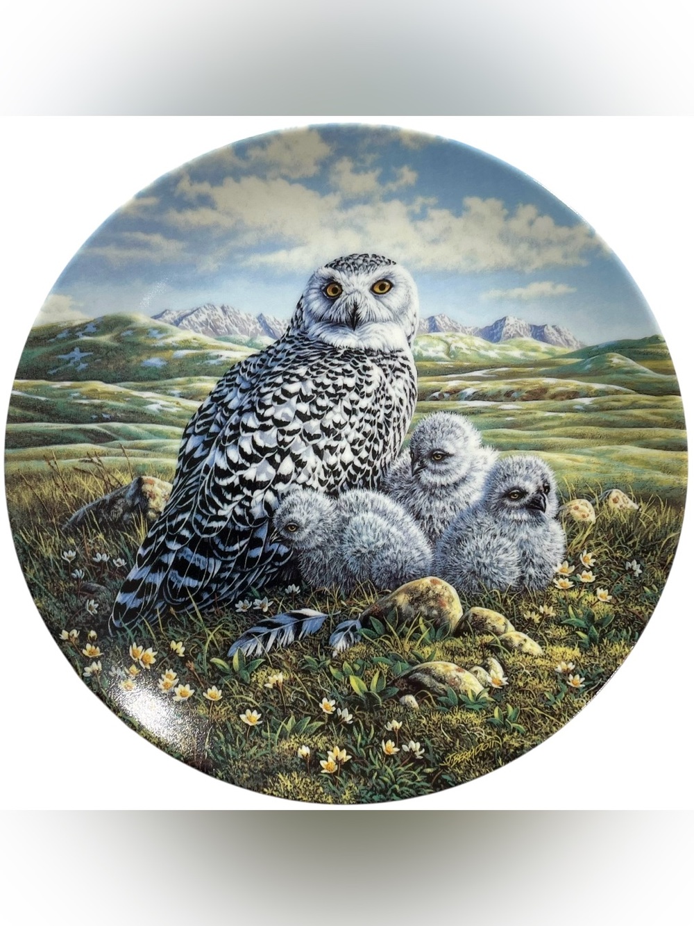 Vintage 1990s Arctic Spring Snowy Owls Collectors Plate by Artist Jim Beaudoin
